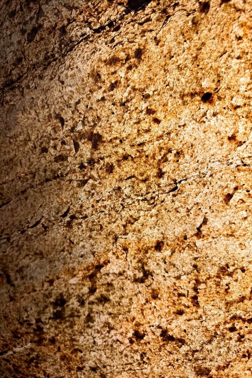 Translucent - Bodhi - #MACA#